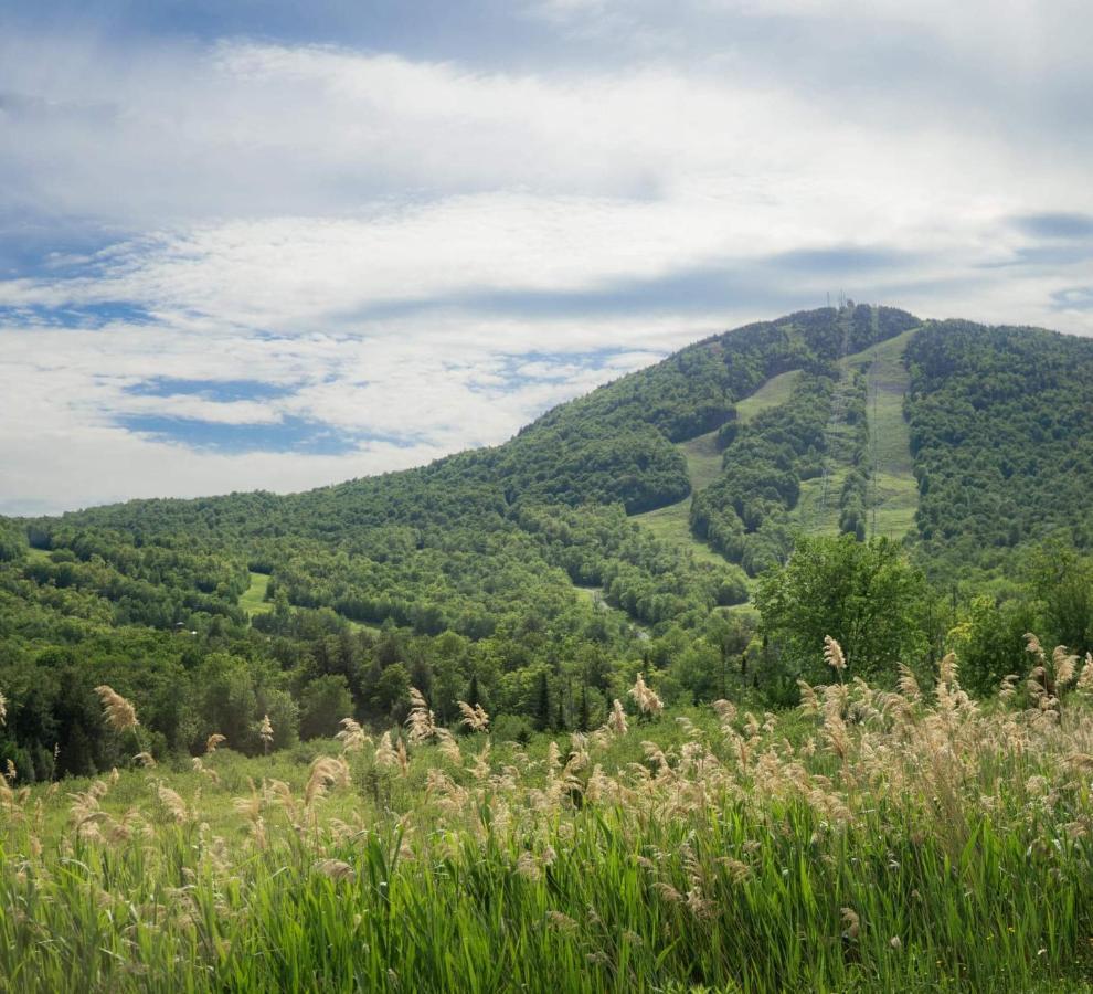 Condo Hotel Au Pied Du Mont Orford Εξωτερικό φωτογραφία