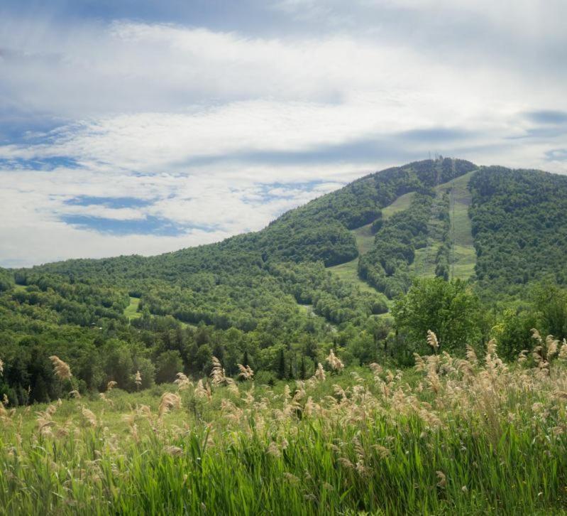 Condo Hotel Au Pied Du Mont Orford Δωμάτιο φωτογραφία
